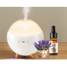 Aroma Diffuser Essential Oil Aroma Diffuser Humidifier