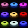 Graffiti WiFi smart Bluetooth ceiling lamp