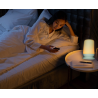 Smart Desk Lamp Dimmable RGB Atmosphere Bedroom Bedside Lamp LED