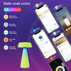 Graffiti Smart Matter Charging Desk Lamp