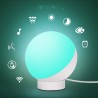 LED smart desk lamp wifi remote voice control