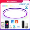 Smart Ceiling Lamp Round Peripheral Luminous Model WIFI
