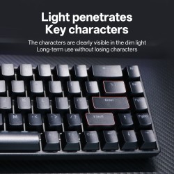 KL61 Single-Mode Mechanical Keyboard