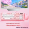 Mechanical Feeling Keyboard Mouse Suit